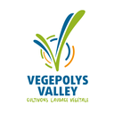 VEGEPOLYS VALLEY avatar